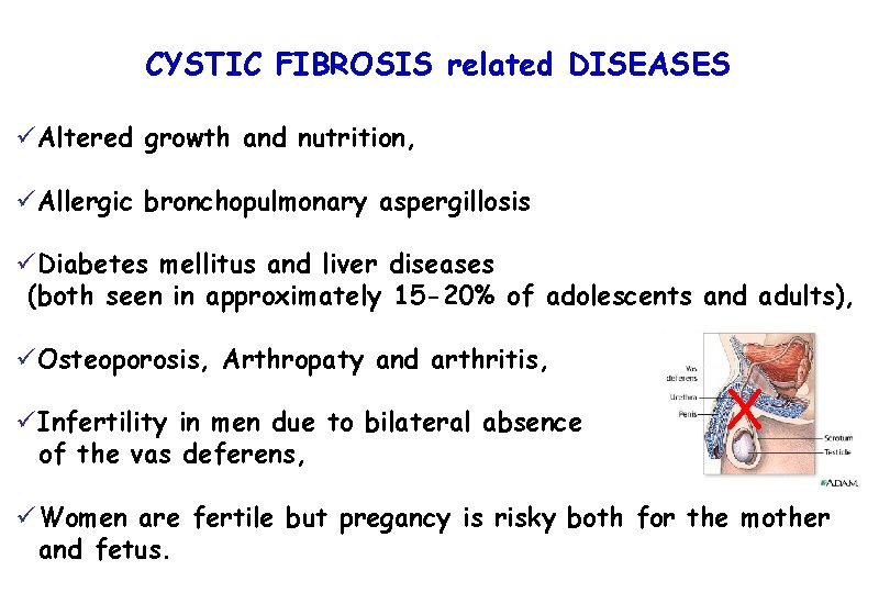 CYSTIC FIBROSIS related DISEASES üAltered growth and nutrition, üAllergic bronchopulmonary aspergillosis üDiabetes mellitus and