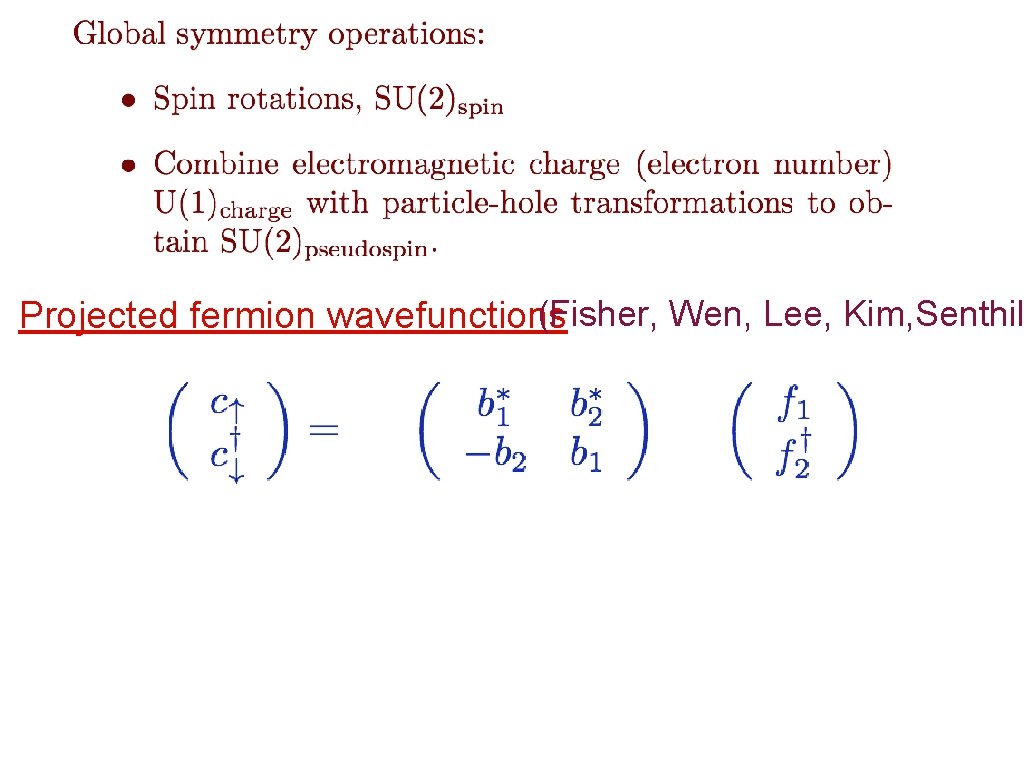 (Fisher, Wen, Lee, Kim, Senthil Projected fermion wavefunctions 