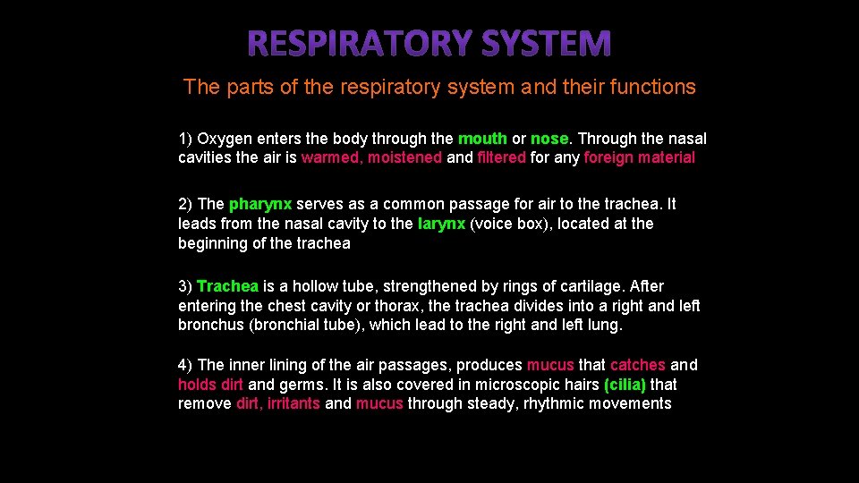 The parts of the respiratory system and their functions 1) Oxygen enters the body