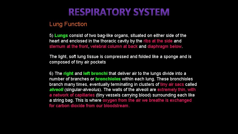 Lung Function 5) Lungs consist of two bag-like organs, situated on either side of