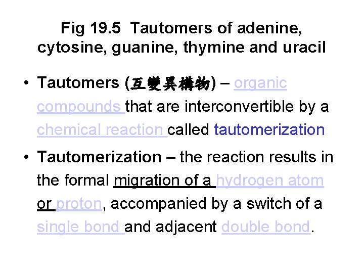 Fig 19. 5 Tautomers of adenine, cytosine, guanine, thymine and uracil • Tautomers (互變異構物)