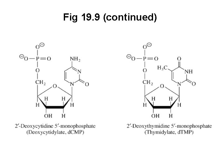 Fig 19. 9 (continued) 