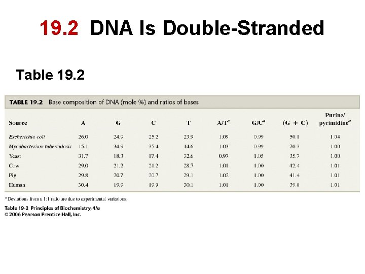19. 2 DNA Is Double-Stranded Table 19. 2 
