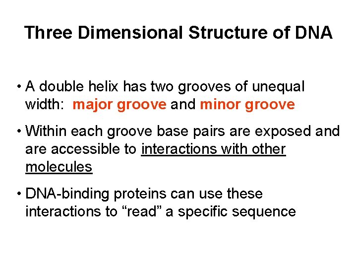 Three Dimensional Structure of DNA • A double helix has two grooves of unequal