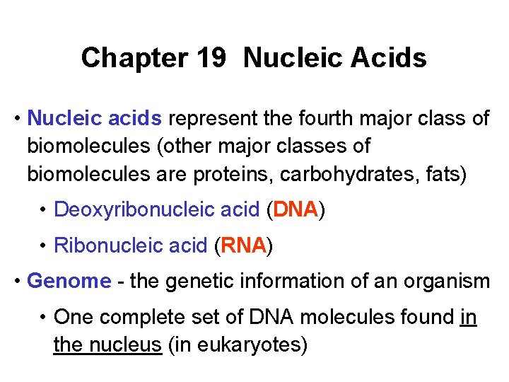 Chapter 19 Nucleic Acids • Nucleic acids represent the fourth major class of biomolecules