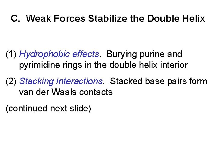 C. Weak Forces Stabilize the Double Helix (1) Hydrophobic effects. Burying purine and pyrimidine