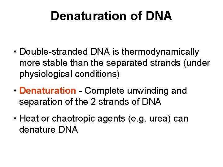 Denaturation of DNA • Double-stranded DNA is thermodynamically more stable than the separated strands