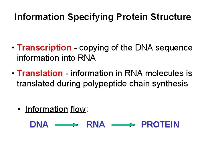 Information Specifying Protein Structure • Transcription - copying of the DNA sequence information into