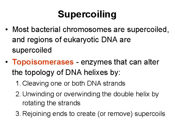 Supercoiling • Most bacterial chromosomes are supercoiled, and regions of eukaryotic DNA are supercoiled