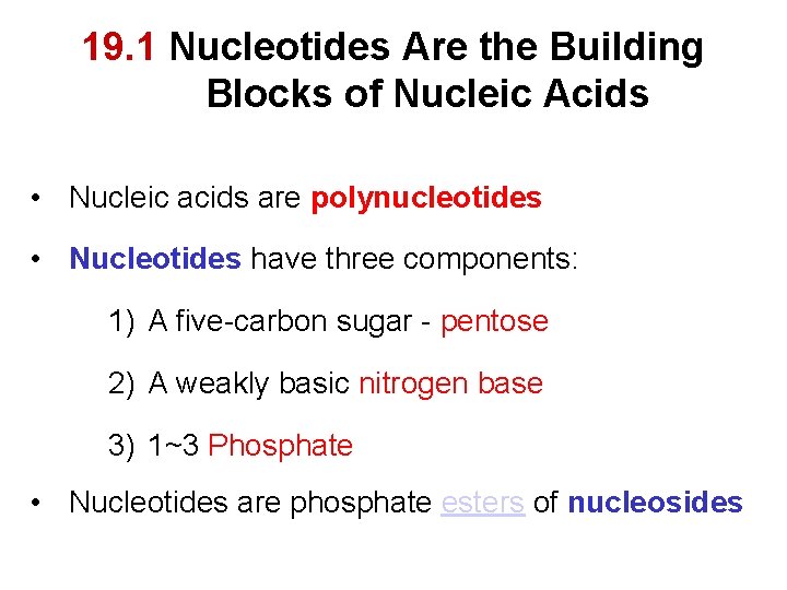 19. 1 Nucleotides Are the Building Blocks of Nucleic Acids • Nucleic acids are