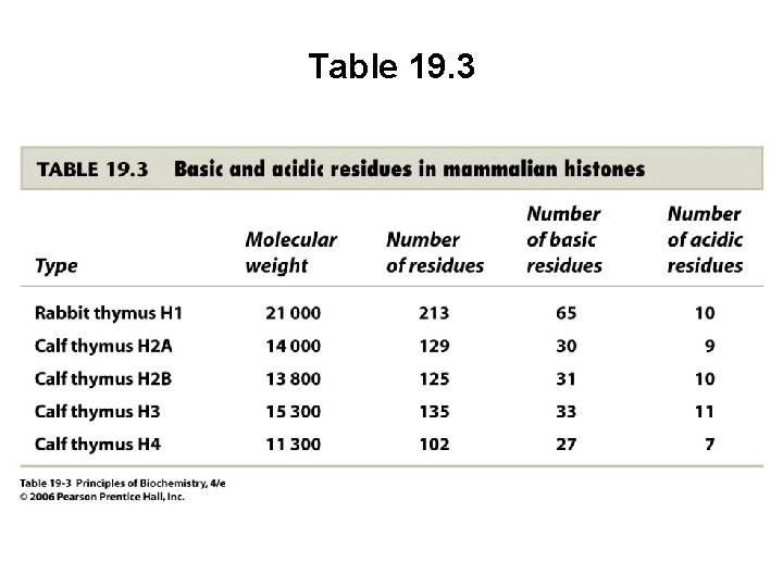 Table 19. 3 