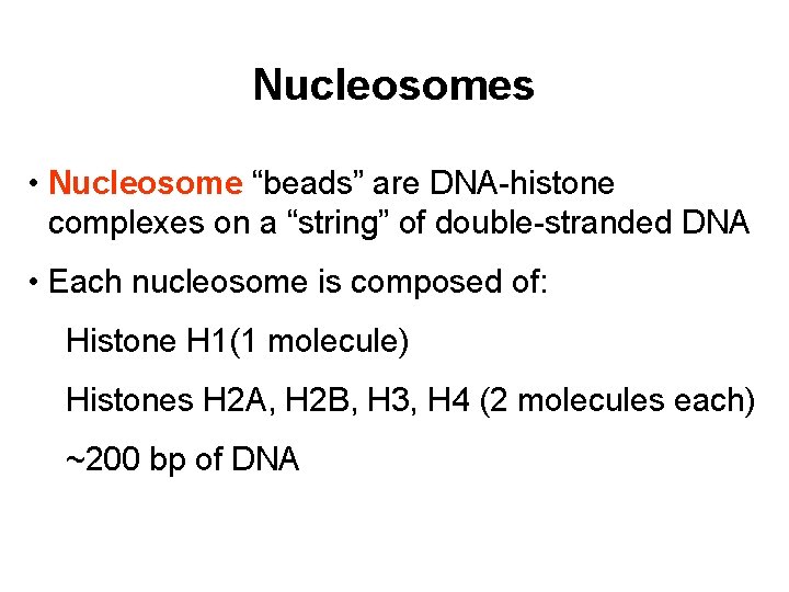 Nucleosomes • Nucleosome “beads” are DNA-histone complexes on a “string” of double-stranded DNA •