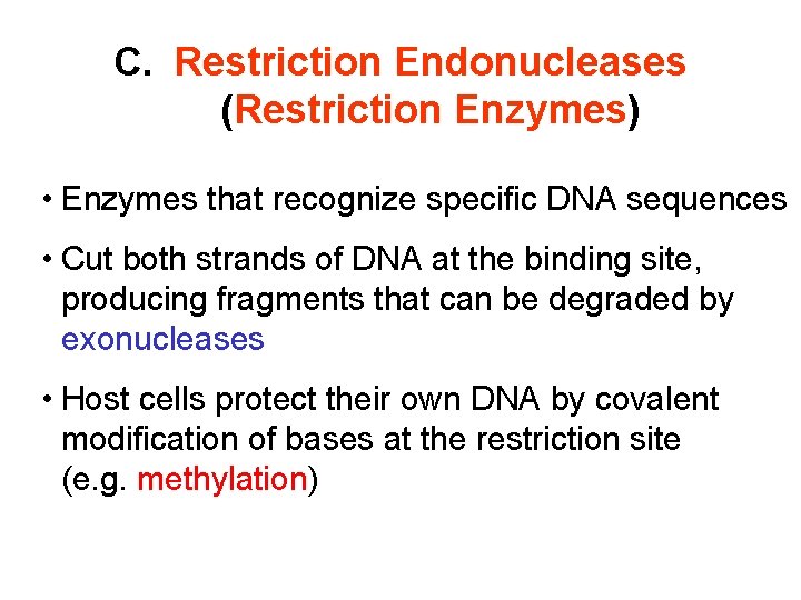 C. Restriction Endonucleases (Restriction Enzymes) • Enzymes that recognize specific DNA sequences • Cut