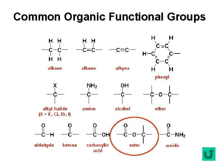 Common Organic Functional Groups 
