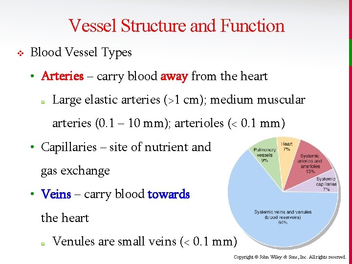 Vessel Structure and Function v Blood Vessel Types • Arteries – carry blood away