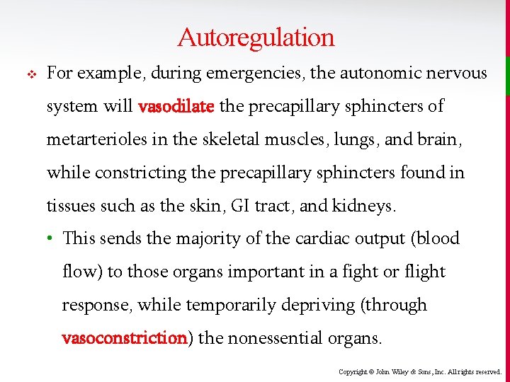 Autoregulation v For example, during emergencies, the autonomic nervous system will vasodilate the precapillary