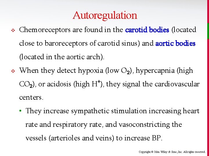 Autoregulation v Chemoreceptors are found in the carotid bodies (located close to baroreceptors of