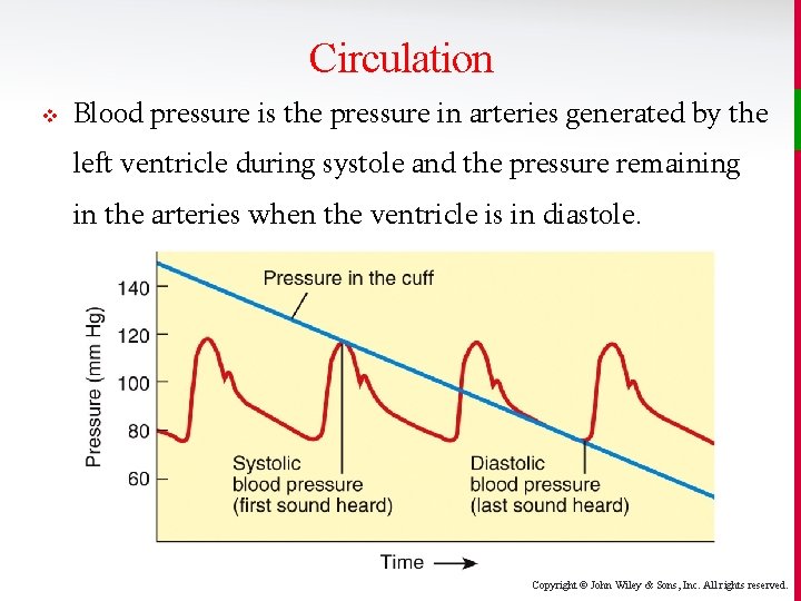 Circulation v Blood pressure is the pressure in arteries generated by the left ventricle