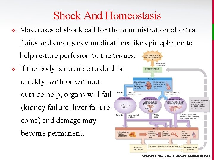 Shock And Homeostasis v Most cases of shock call for the administration of extra