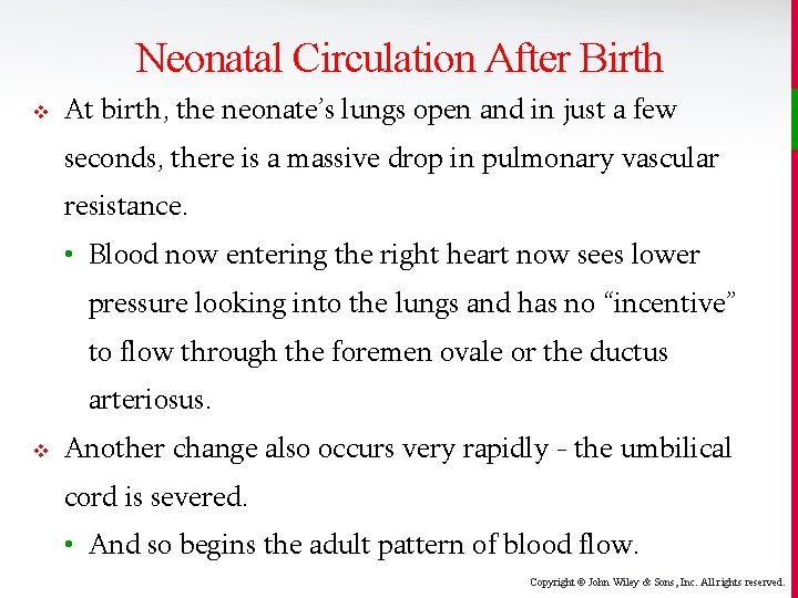 Neonatal Circulation After Birth v At birth, the neonate’s lungs open and in just