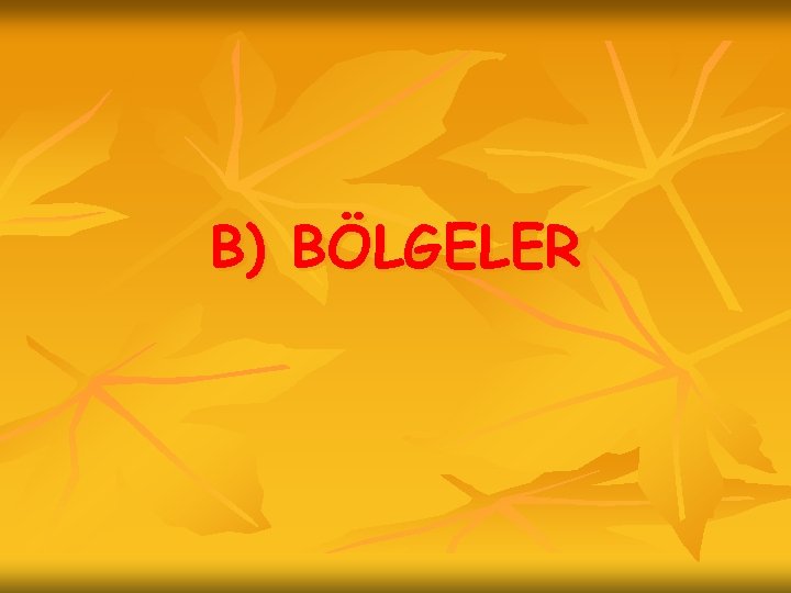 B) BÖLGELER 