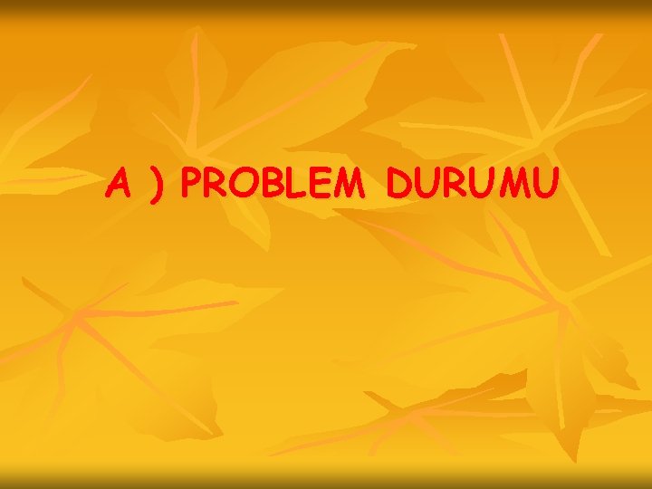 A ) PROBLEM DURUMU 