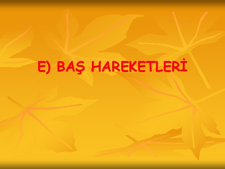 E) BAŞ HAREKETLERİ 