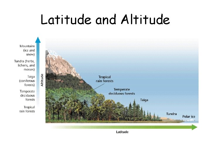Latitude and Altitude 