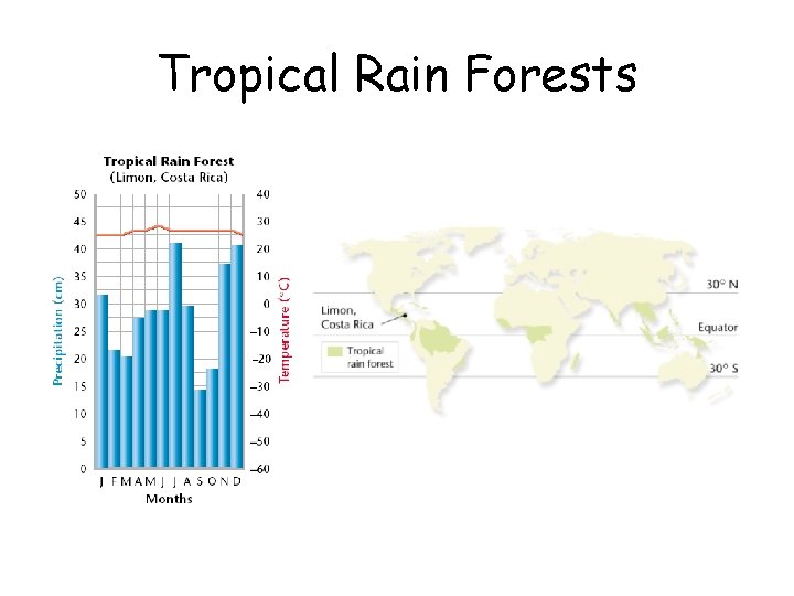 Tropical Rain Forests 