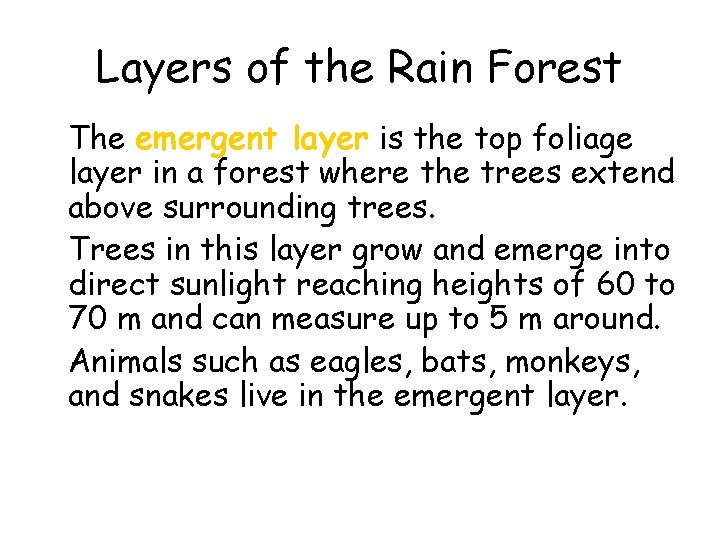 Layers of the Rain Forest • The emergent layer is the top foliage layer