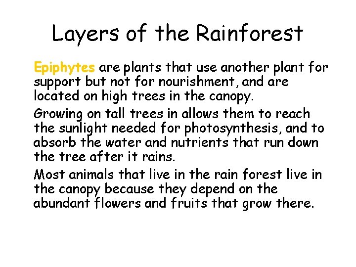 Layers of the Rainforest • Epiphytes are plants that use another plant for support