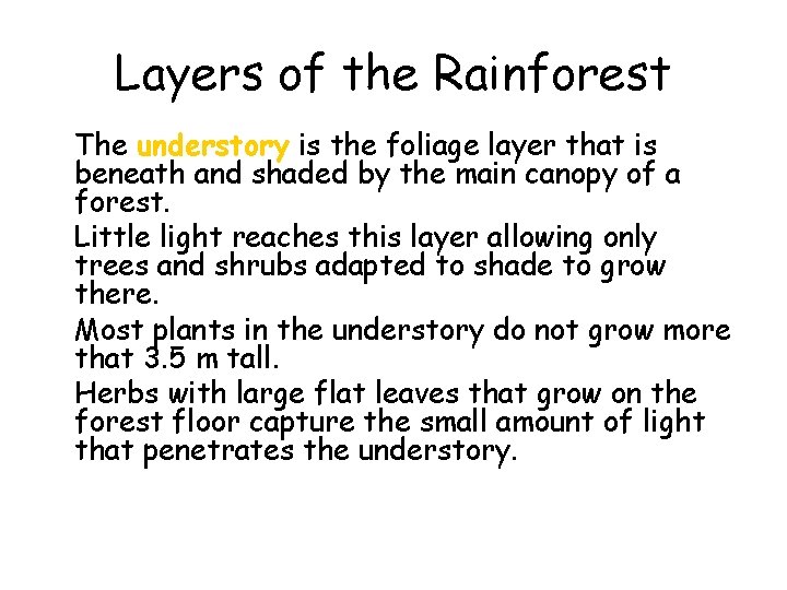 Layers of the Rainforest • The understory is the foliage layer that is beneath