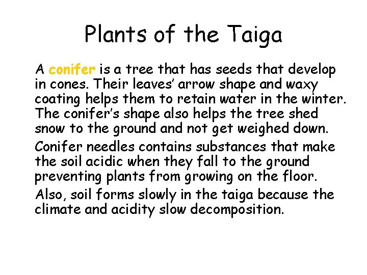 Plants of the Taiga • A conifer is a tree that has seeds that