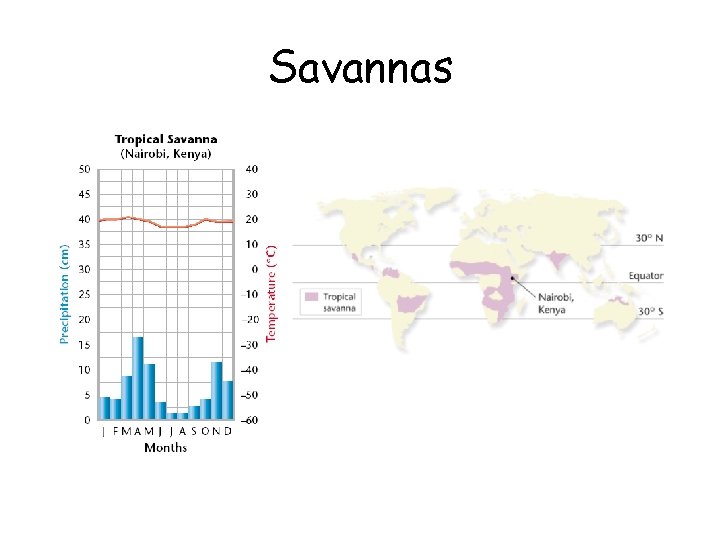 Savannas 
