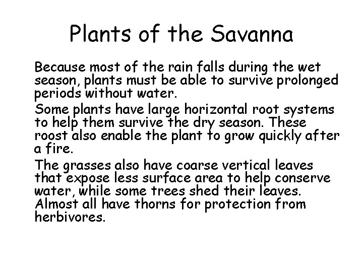 Plants of the Savanna • Because most of the rain falls during the wet