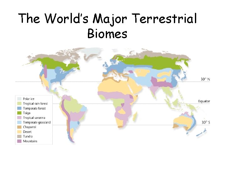 The World’s Major Terrestrial Biomes 