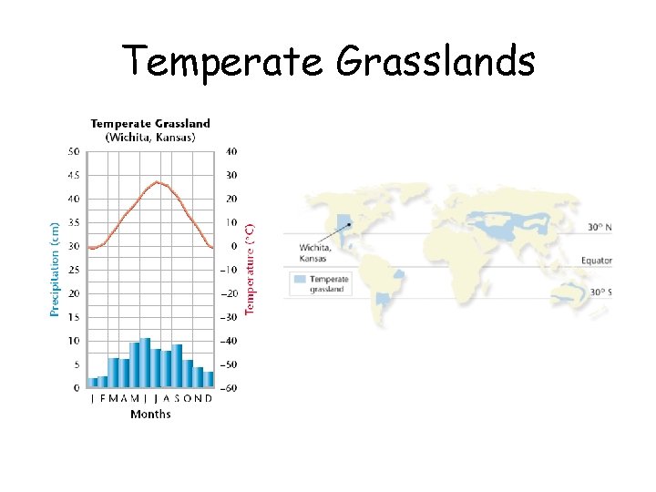 Temperate Grasslands 
