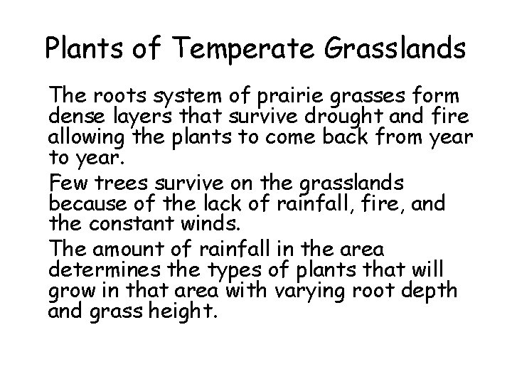 Plants of Temperate Grasslands • The roots system of prairie grasses form dense layers