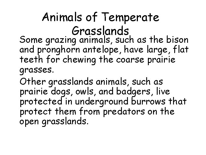 Animals of Temperate Grasslands • Some grazing animals, such as the bison and pronghorn