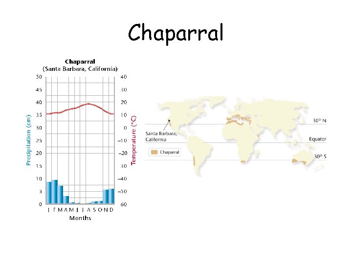 Chaparral 