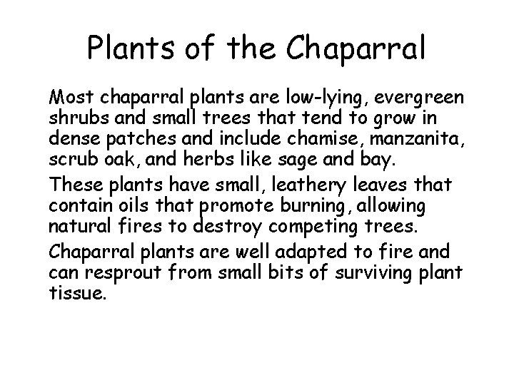Plants of the Chaparral • Most chaparral plants are low-lying, evergreen shrubs and small
