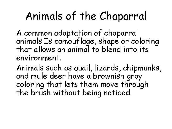 Animals of the Chaparral • A common adaptation of chaparral animals Is camouflage, shape