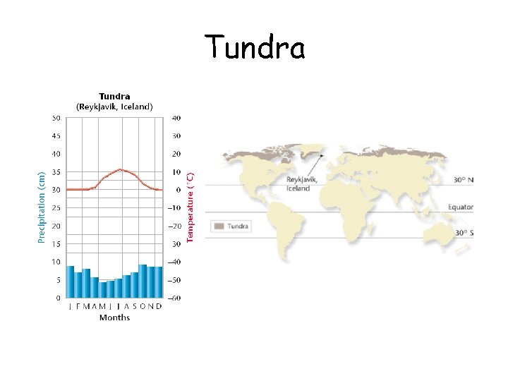 Tundra 