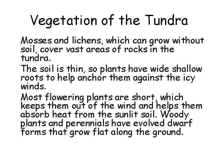 Vegetation of the Tundra • Mosses and lichens, which can grow without soil, cover