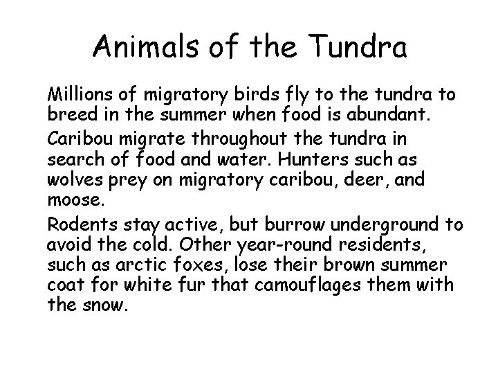Animals of the Tundra • Millions of migratory birds fly to the tundra to