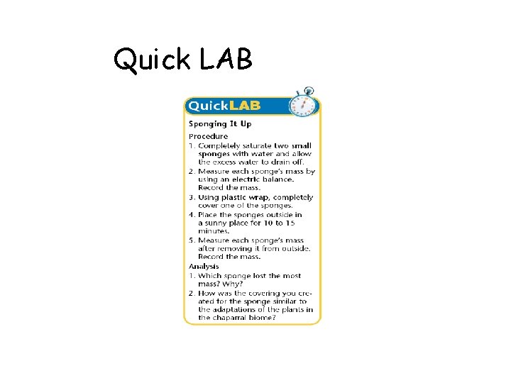 Quick LAB 