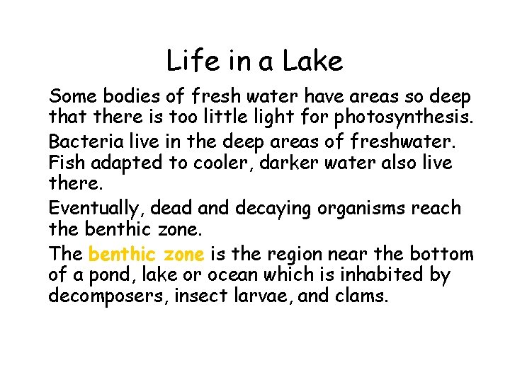 Life in a Lake • Some bodies of fresh water have areas so deep