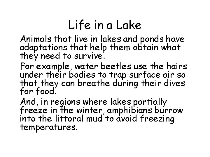 Life in a Lake • Animals that live in lakes and ponds have adaptations