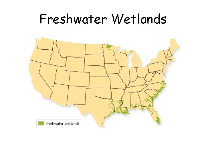 Freshwater Wetlands 