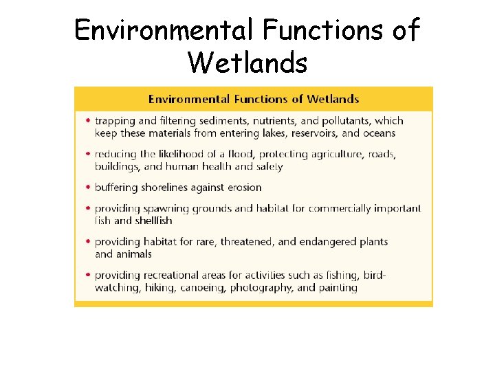 Environmental Functions of Wetlands 